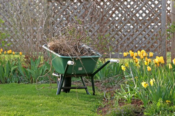Flower Bed Cleanup Service in Longmont