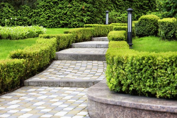 Backyard Remodeling in Longmont