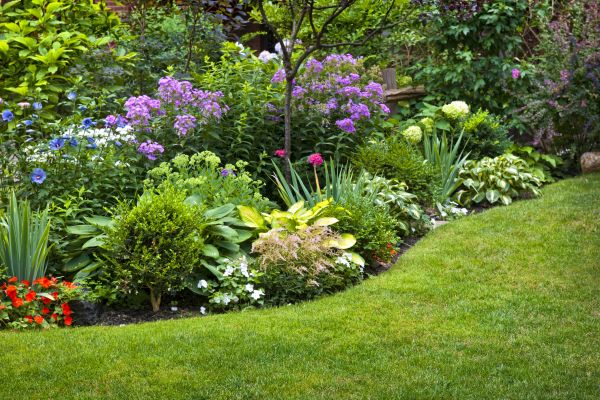 Flower Bed Service in Longmont