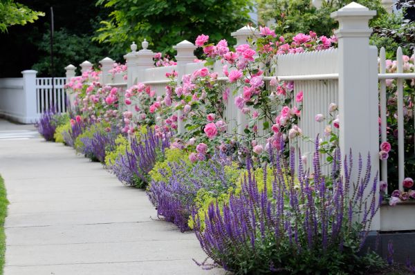 Garden Handyman Service in Longmont