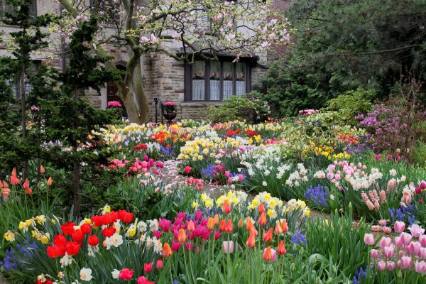 Garden Maintenance Service in Longmont