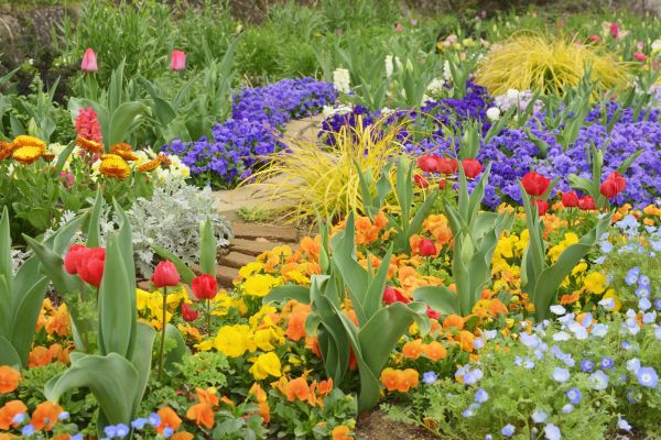 Garden Renovation in Longmont