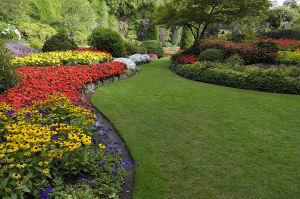 Landscaping Maintenance in Longmont