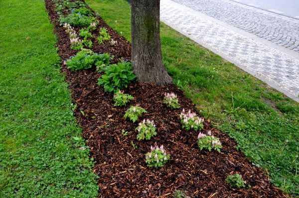 Mulch Replacement Service in Longmont