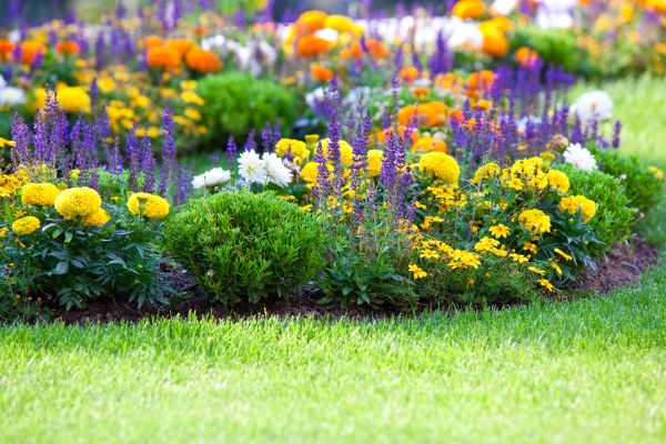 Garden Installation in Longmont