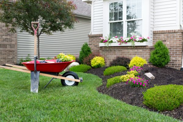 Landscape Maintenance Service in Longmont