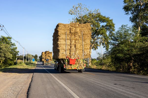 Pine Straw Delivery in Longmont