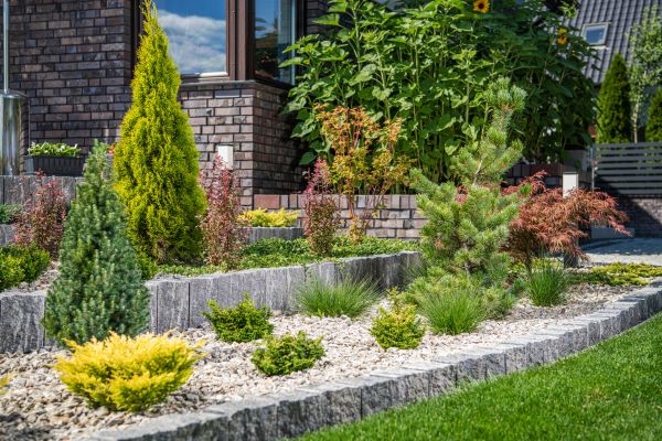 Landscape Construction Service in Longmont