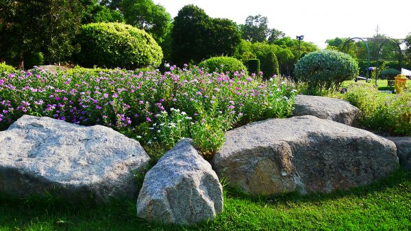 Boulder Landscaping in Longmont