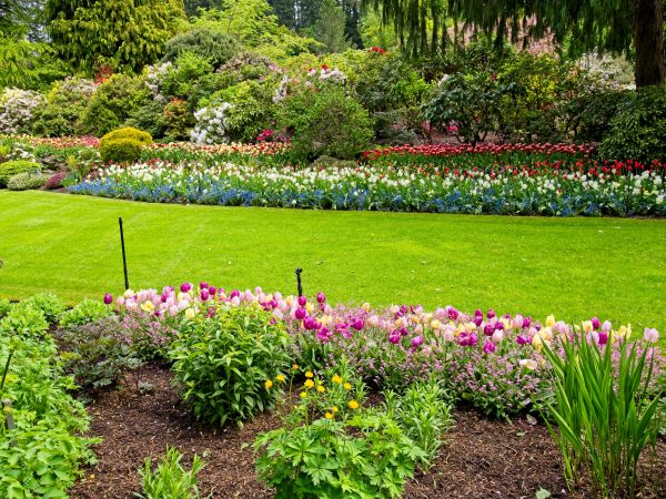 Residential Landscape Design in Longmont