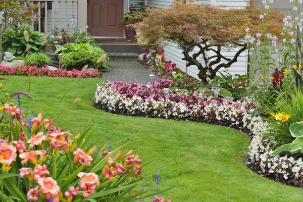 Perennial Landscaping in Longmont