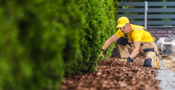 Cypress Mulch Installation in Longmont