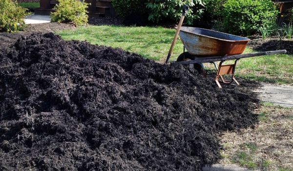 Black Mulch Installation in Longmont