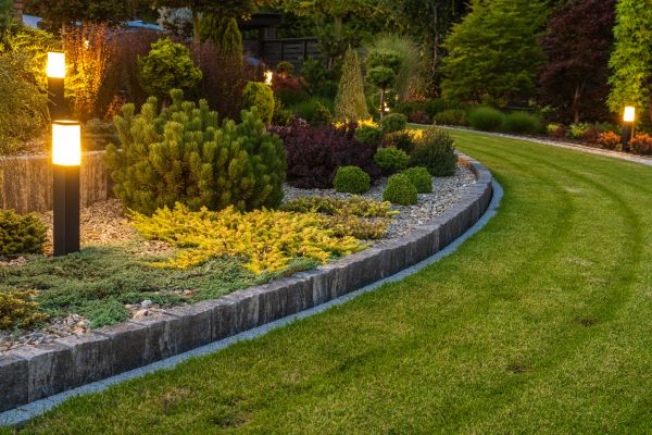 Garden Repair Service in Longmont