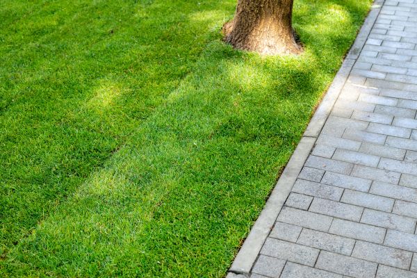 Border Stone Installation in Longmont