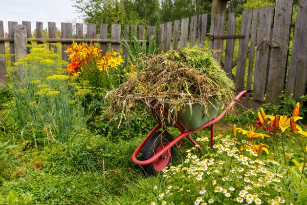 Garden Cleanup Service in Longmont