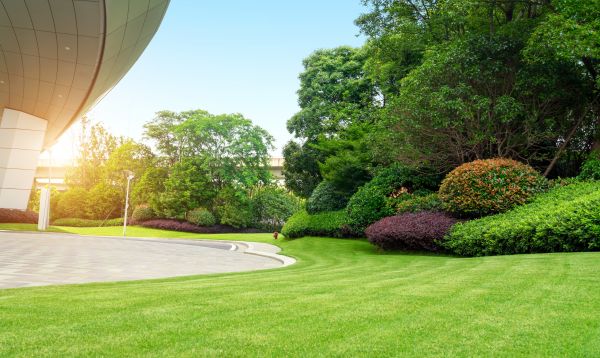 Business Landscape Design in Longmont