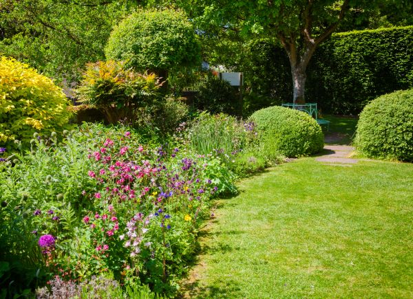 Yard Landscaping Service in Longmont