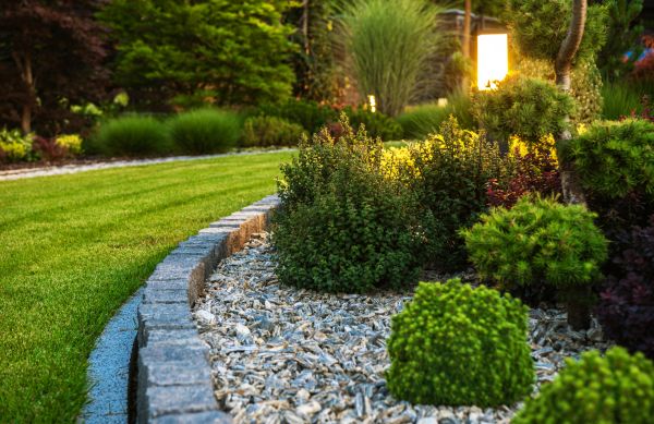 Landscaping Service in Longmont