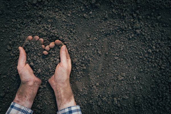 Soil Installation in Longmont