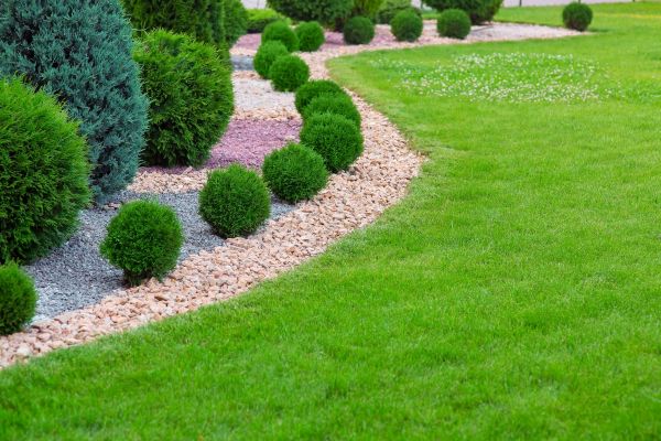Edging Stones Installation in Longmont