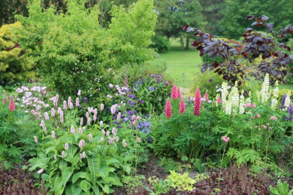 Flower Bed Planting in Longmont