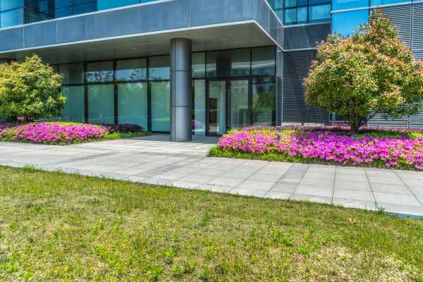 Commercial Gardening in Longmont