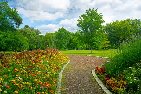 Park Landscaping in Longmont