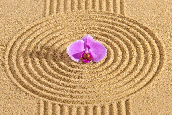Sand Garden Landscaping in Longmont