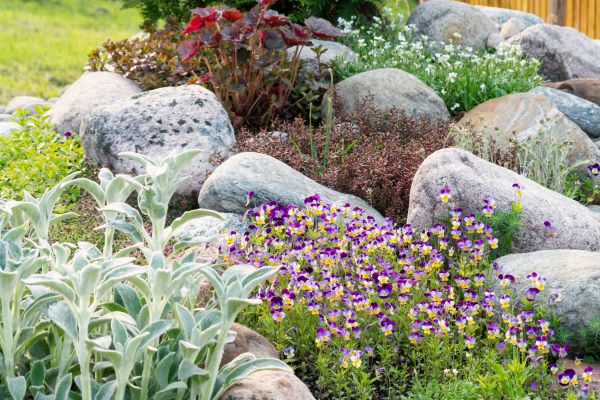 Rock Garden Installation in Longmont