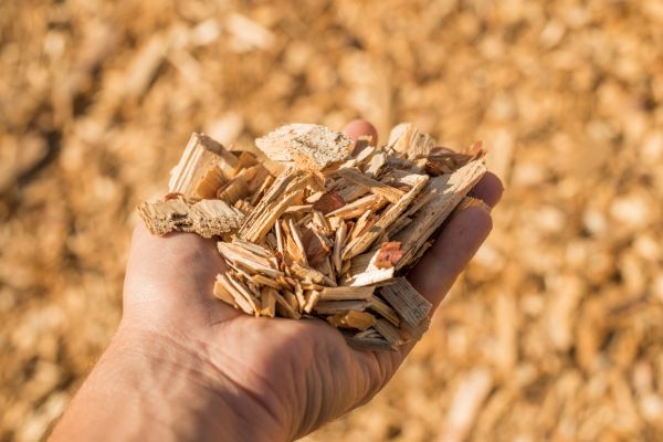 Wood Chips Spreading in Longmont