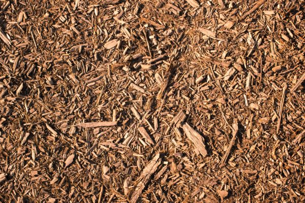 Wood Chips Removal in Longmont