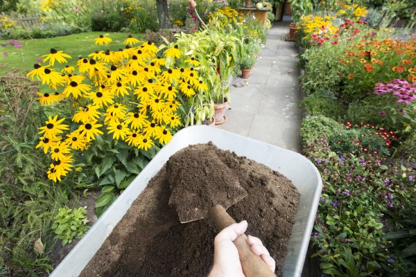 Topsoil Replacement in Longmont