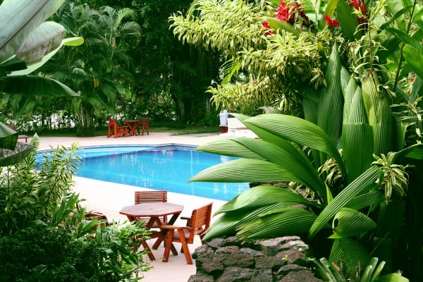 Pool Area Landscaping in Longmont