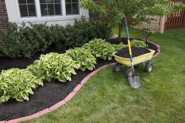Landscape Mulching in Longmont