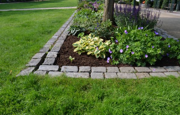 Flower Bed Mulching in Longmont