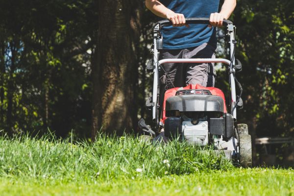 Garden Trimming Service in Longmont