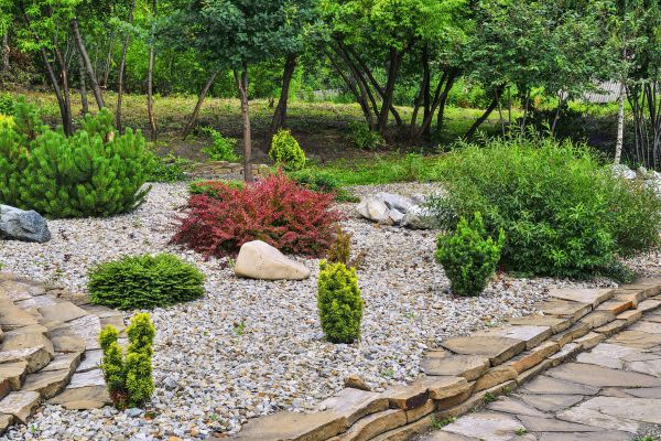 Hardscape Landscaping in Longmont