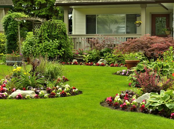 Flower Garden Planting in Longmont