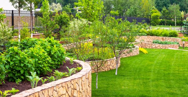 Yard Makeover Service in Longmont