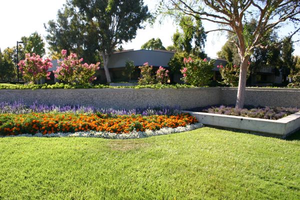 Commercial Landscape Service in Longmont