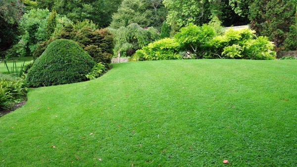 Commercial Landscape Design in Longmont