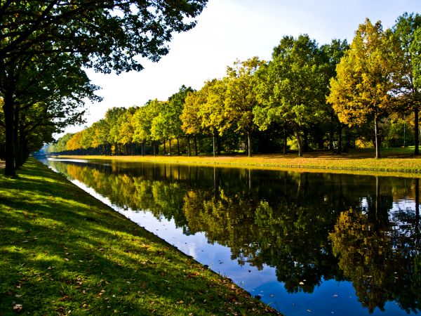 Bank Landscaping in Longmont