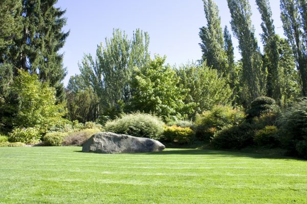 Yard Enlargement in Longmont