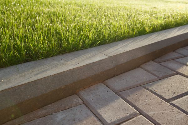Lawn Edging Replacement in Longmont