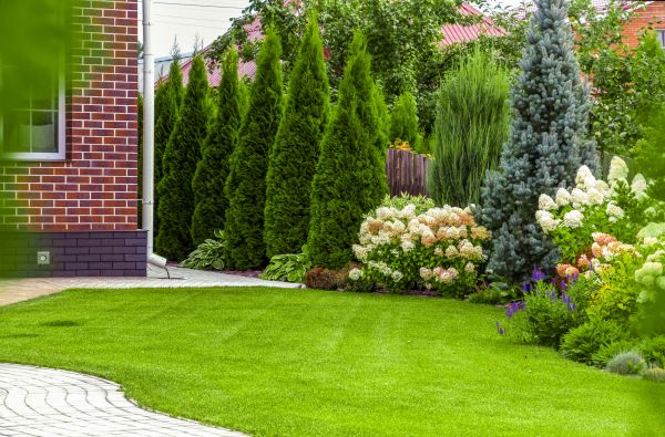 Spring Landscaping in Longmont