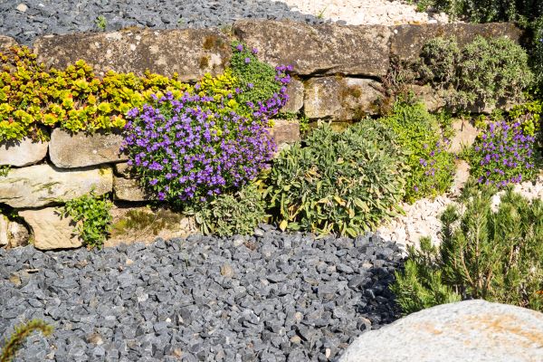Landscaping Rocks Installation in Longmont