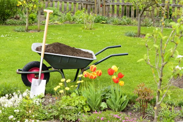 Spring Yard Renovation in Longmont