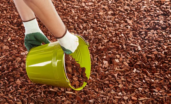 Wood Chip Landscaping in Longmont
