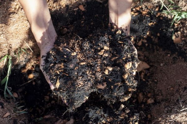Organic Mulch Installation in Longmont